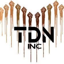 TDN-Logo